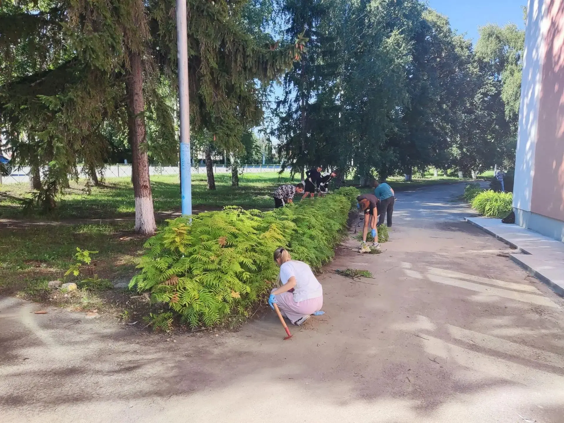 ☀️🪠Работа трудового отряда