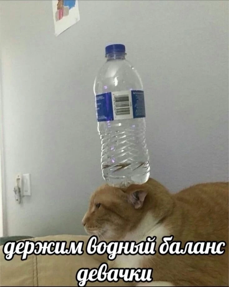 ⛲Из-за аномальной жары в Самаре установят питьевые пункты в местах массового скопления людей.

✔️ По