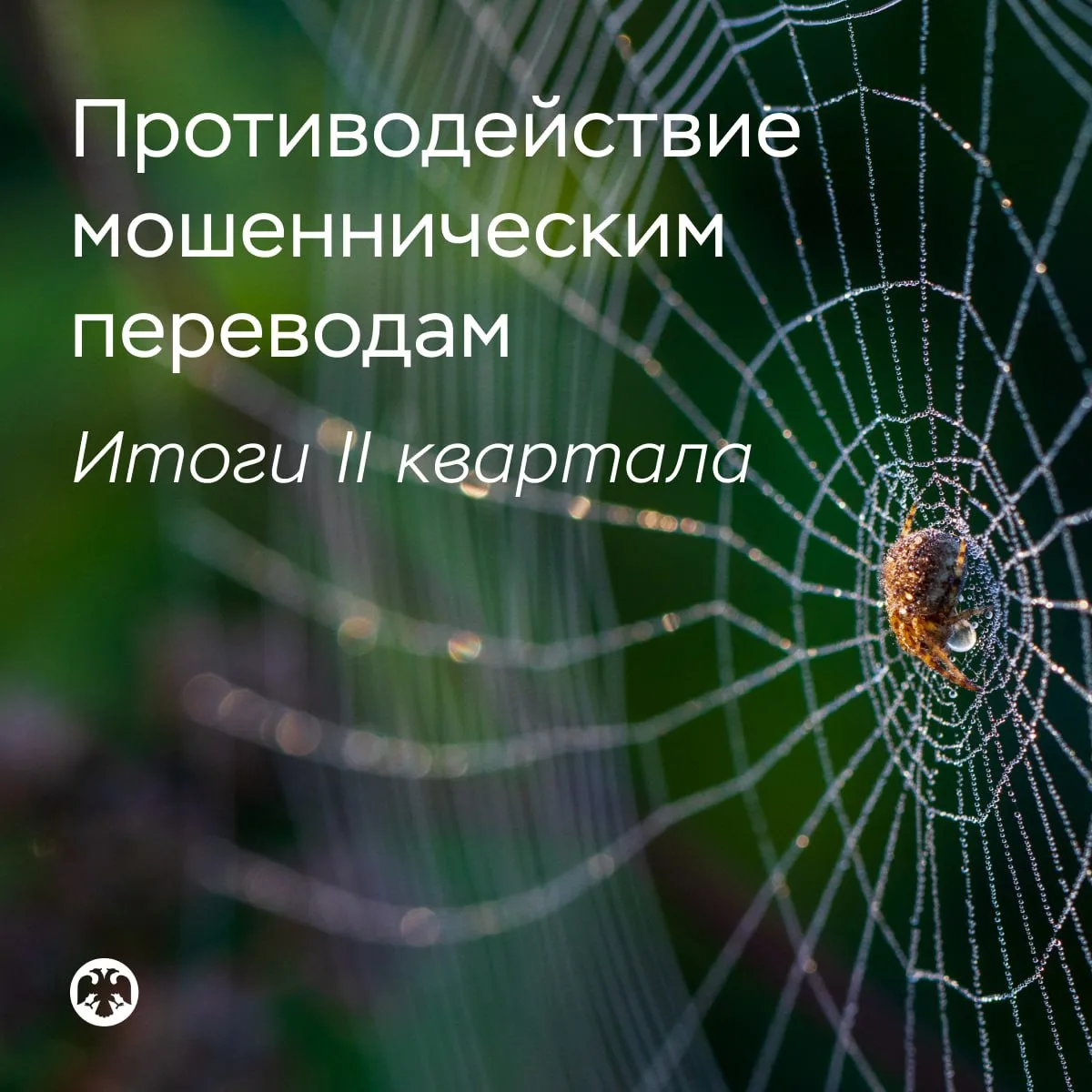 За второй квартал банки отразили 17,5 миллионов попыток мошенников украсть деньги