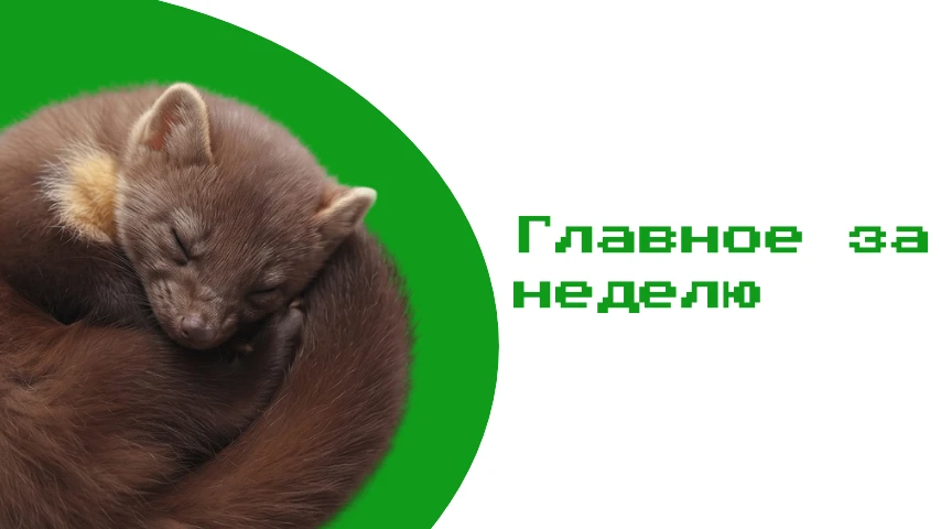 Радий Хабиров назвал ложью данные о выводе 263 млн руб. из активов «Башкиравтодора» за ...