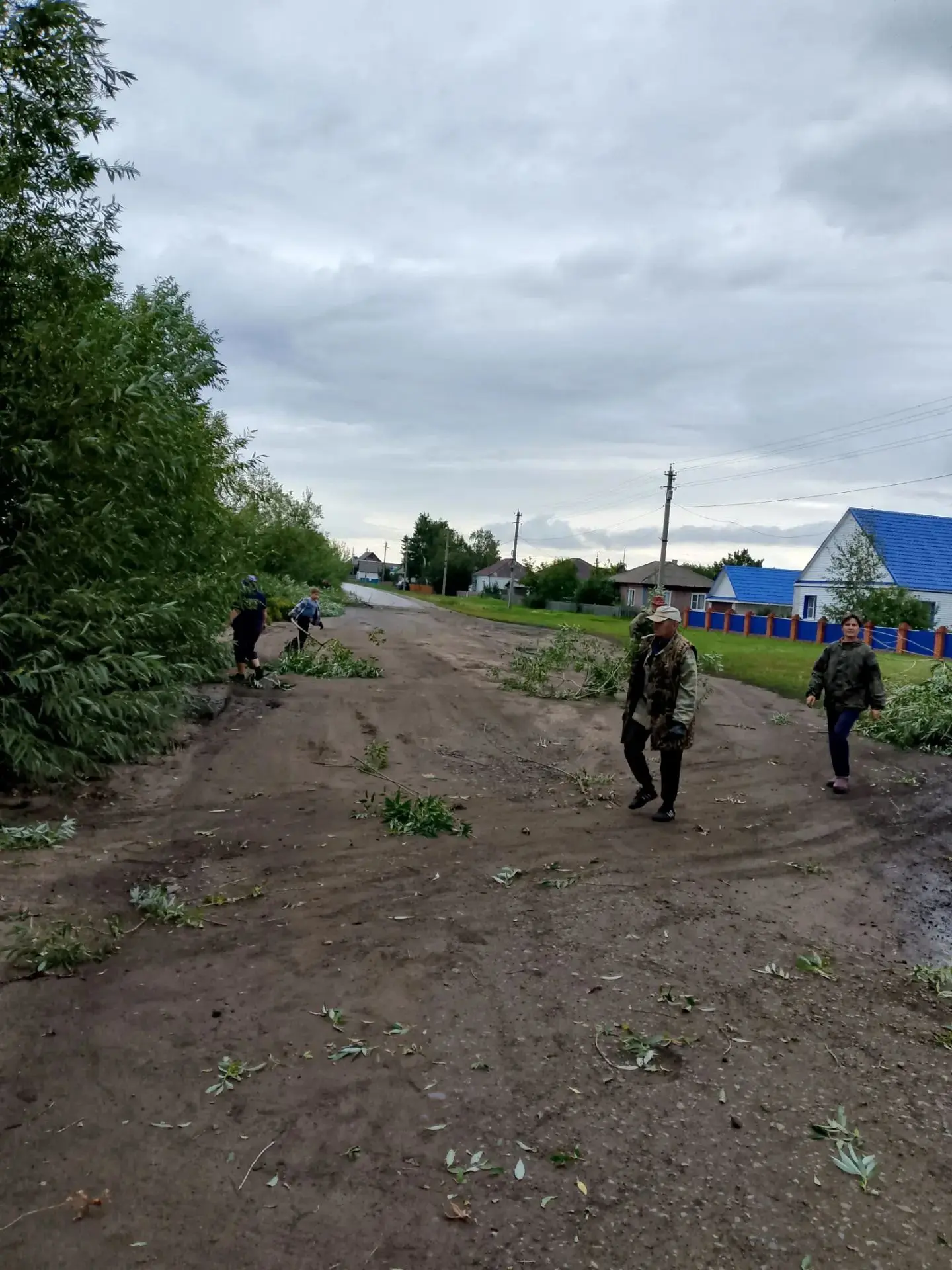 Сегодня, 21 августа, прошёл общественный субботник по улице Озёрная! Произвели спил мол...