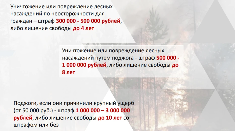 Ежегодно пожары наносят значительный ущерб нашей планете. Забайкальский край не понаслы...
