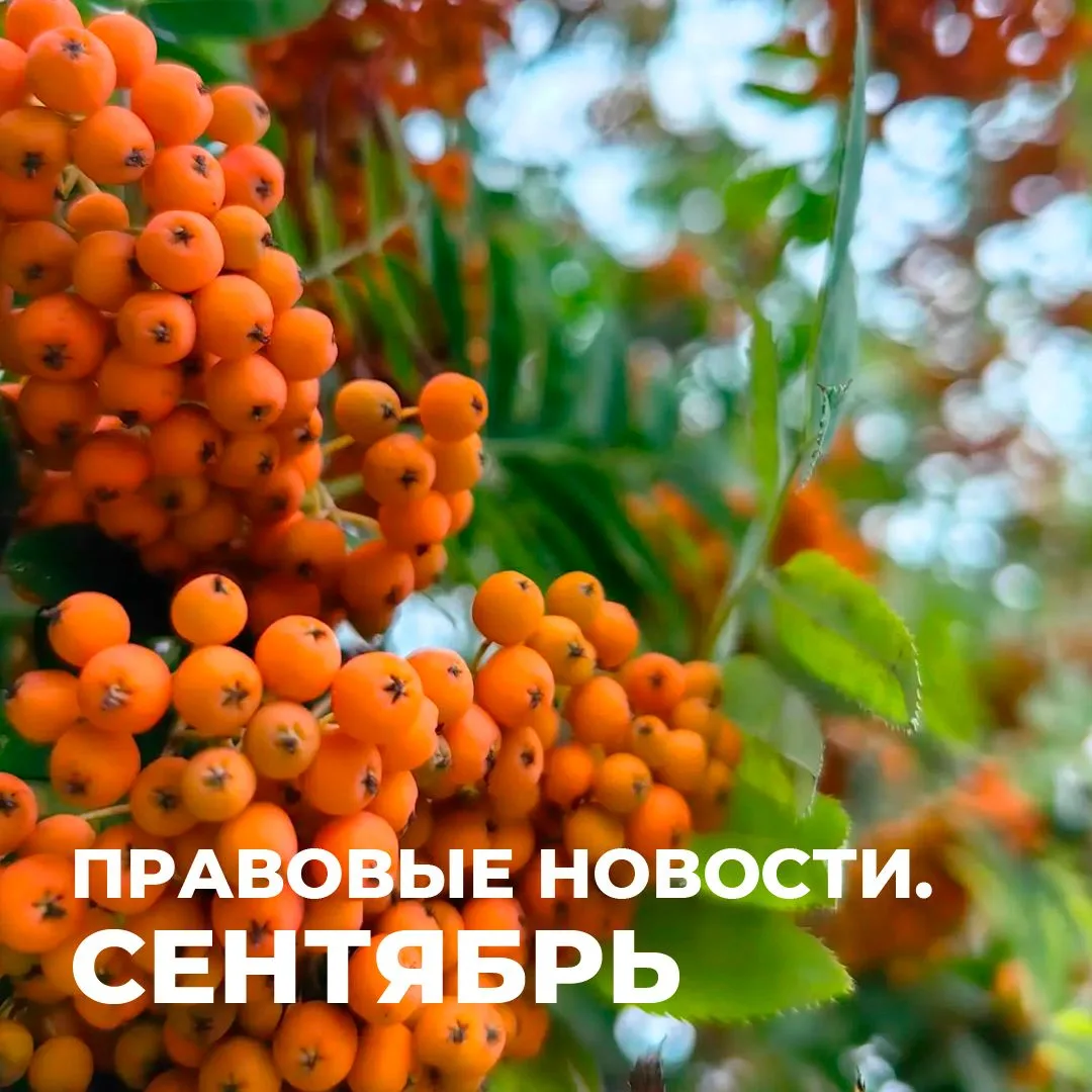 🍁Изменения законодательства в сентябре
