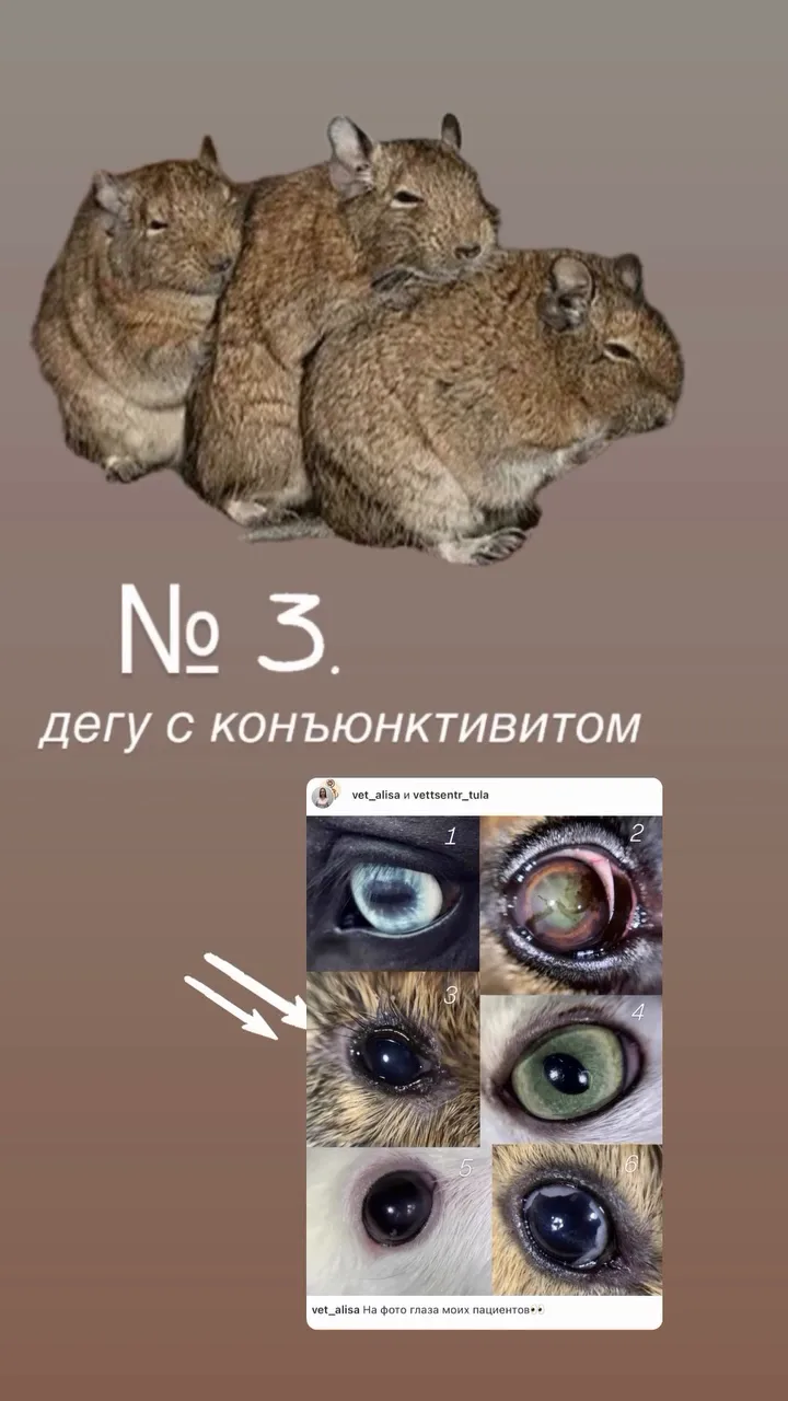 Глаз №3