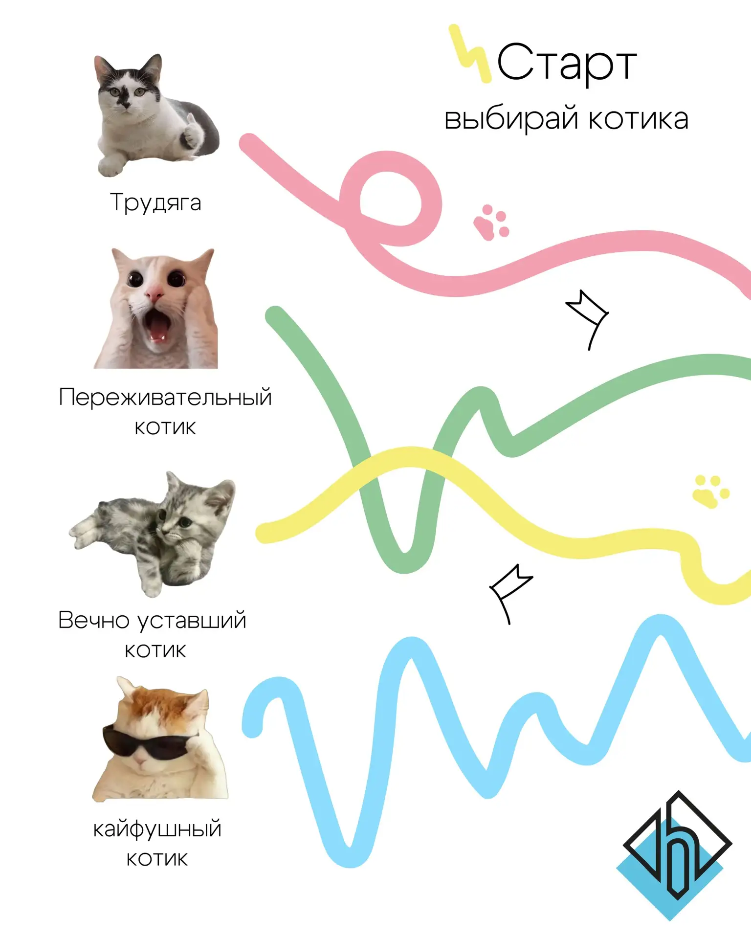 Какой ты котик? 🐱