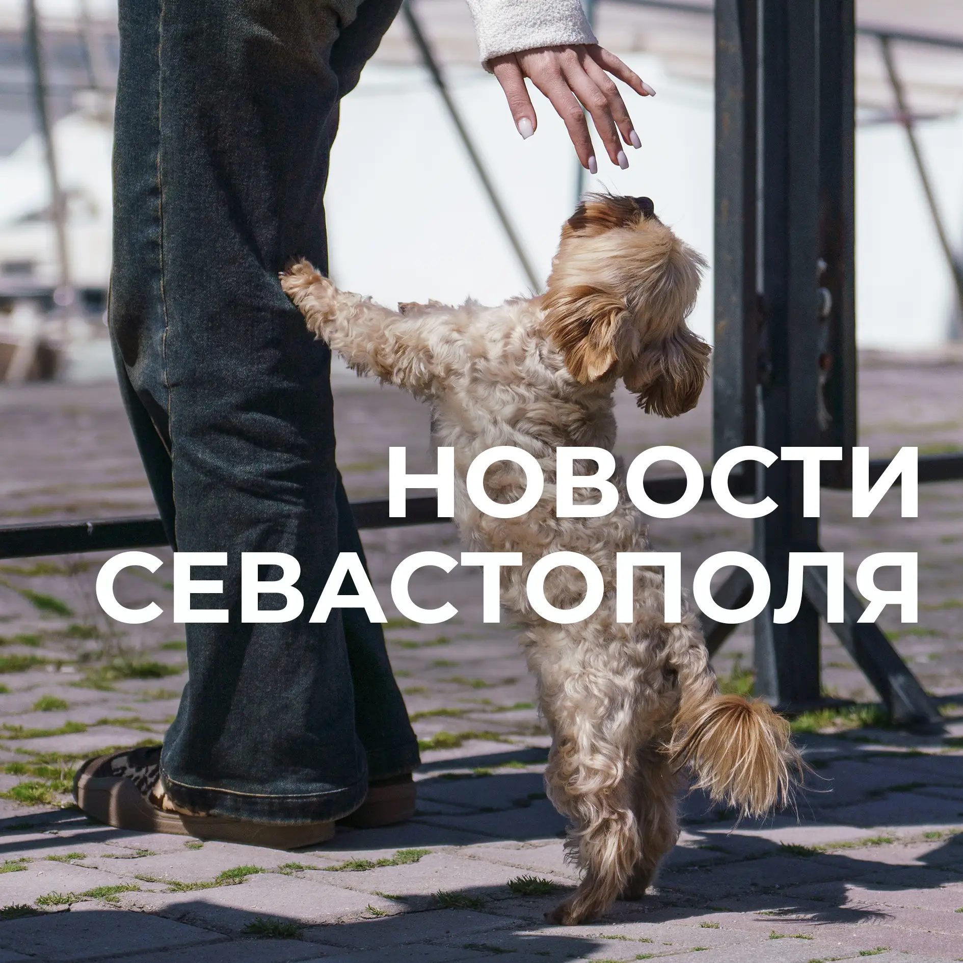 Коротко о главном: