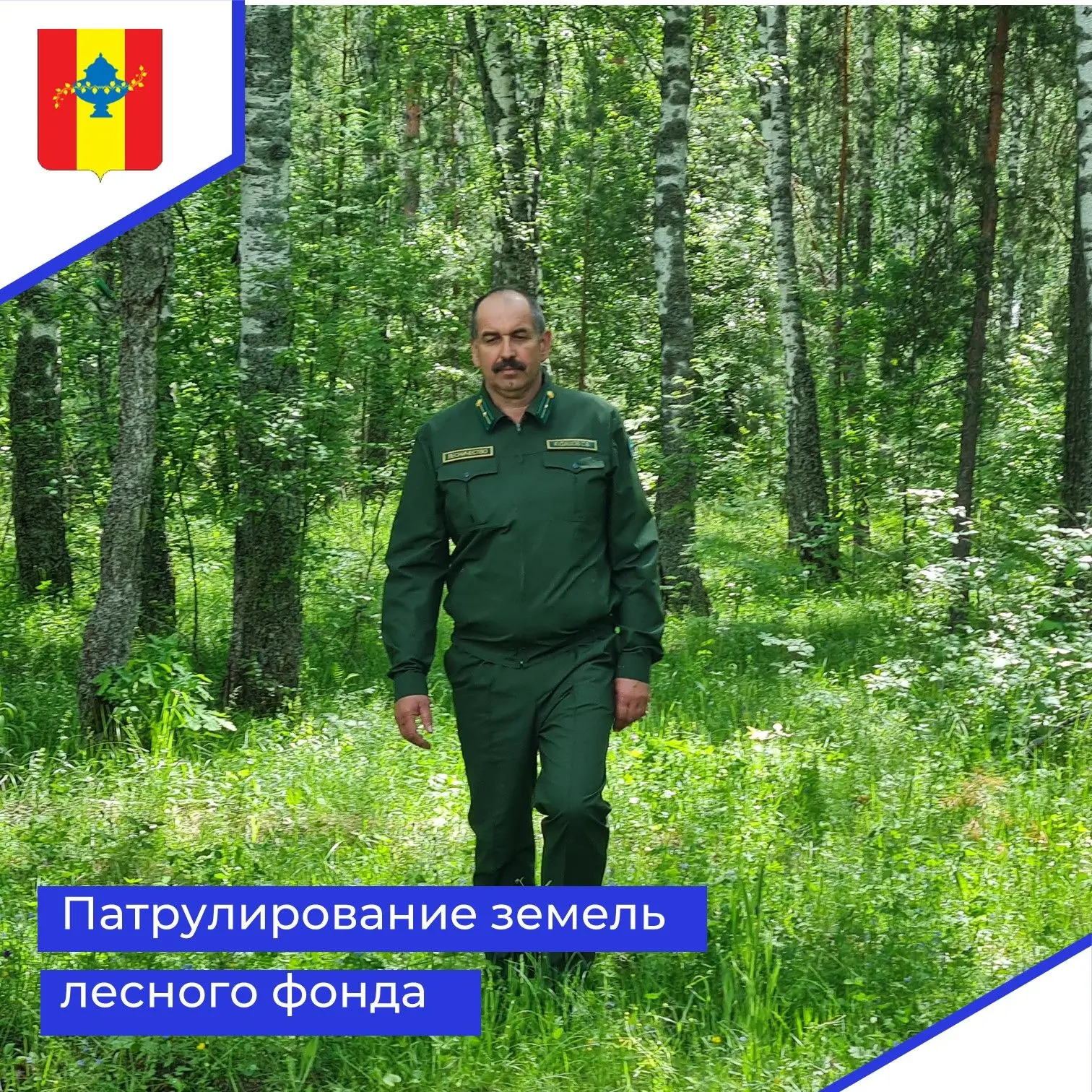 Сотрудники Никольского лесничества продолжают патрулирование земель лесного фонда. Для ...