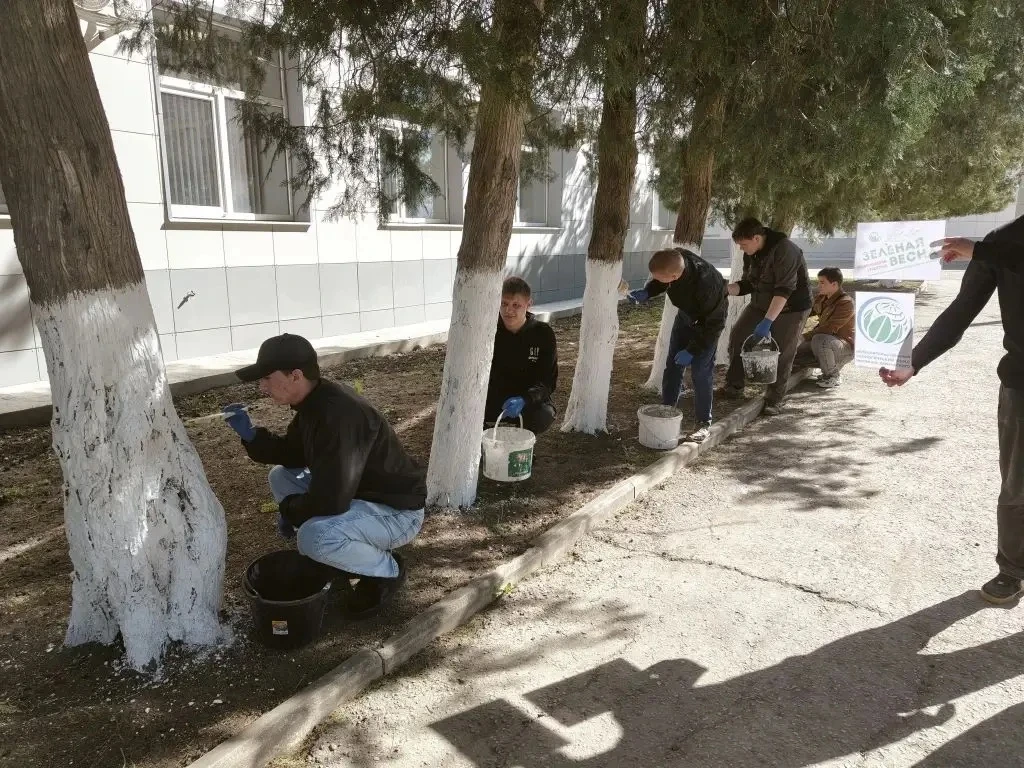 🌱 «Зелёная Весна-2026»: наш техникум стал чище и красивее! 🌱  Весна — это не только время обновления