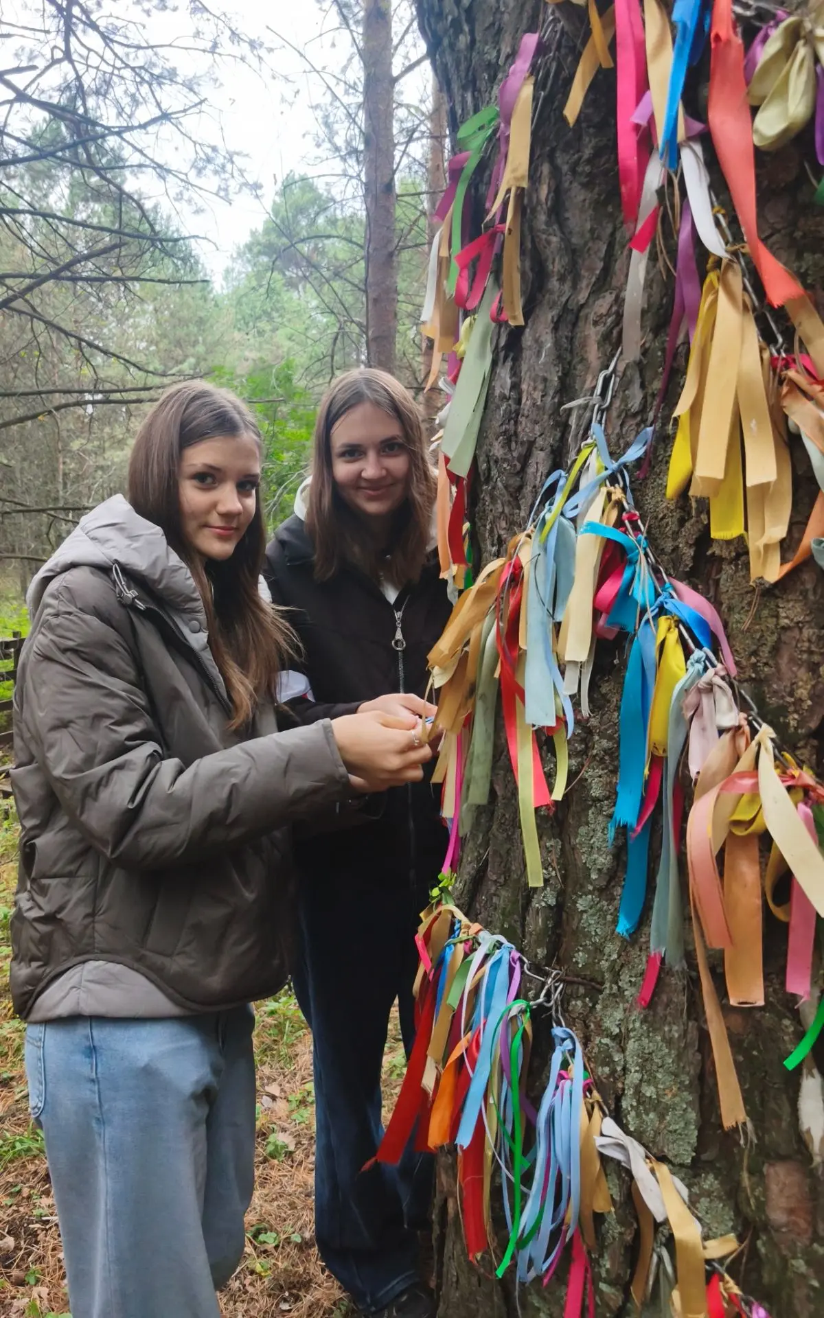Дорогою сувар: история, которую можно вдохнуть 🌲