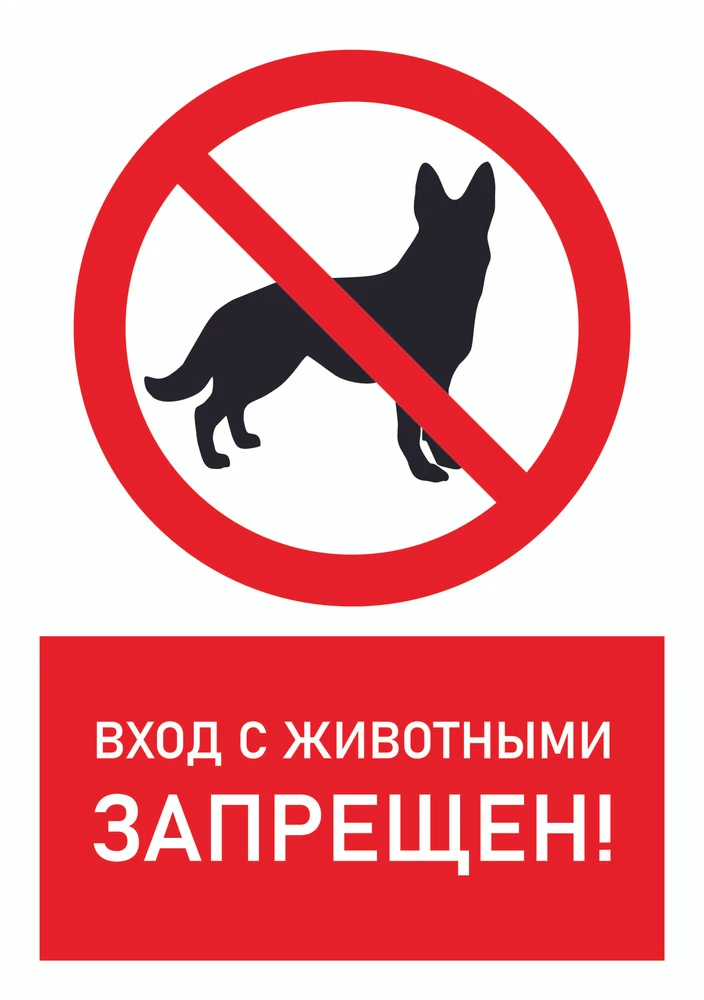 Уважаемые родители!

📌Обращаем ваше внимание на необходимость соблюдения порядка посещения детского