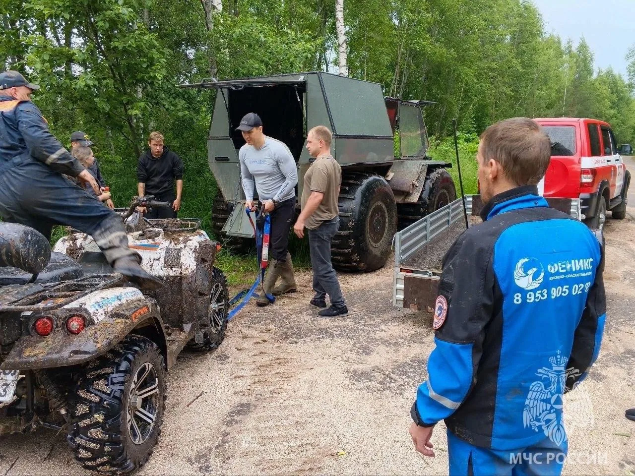 В Боровичском округе нашли троих человек, которые потерялись в лесу. Это были двое взро...
