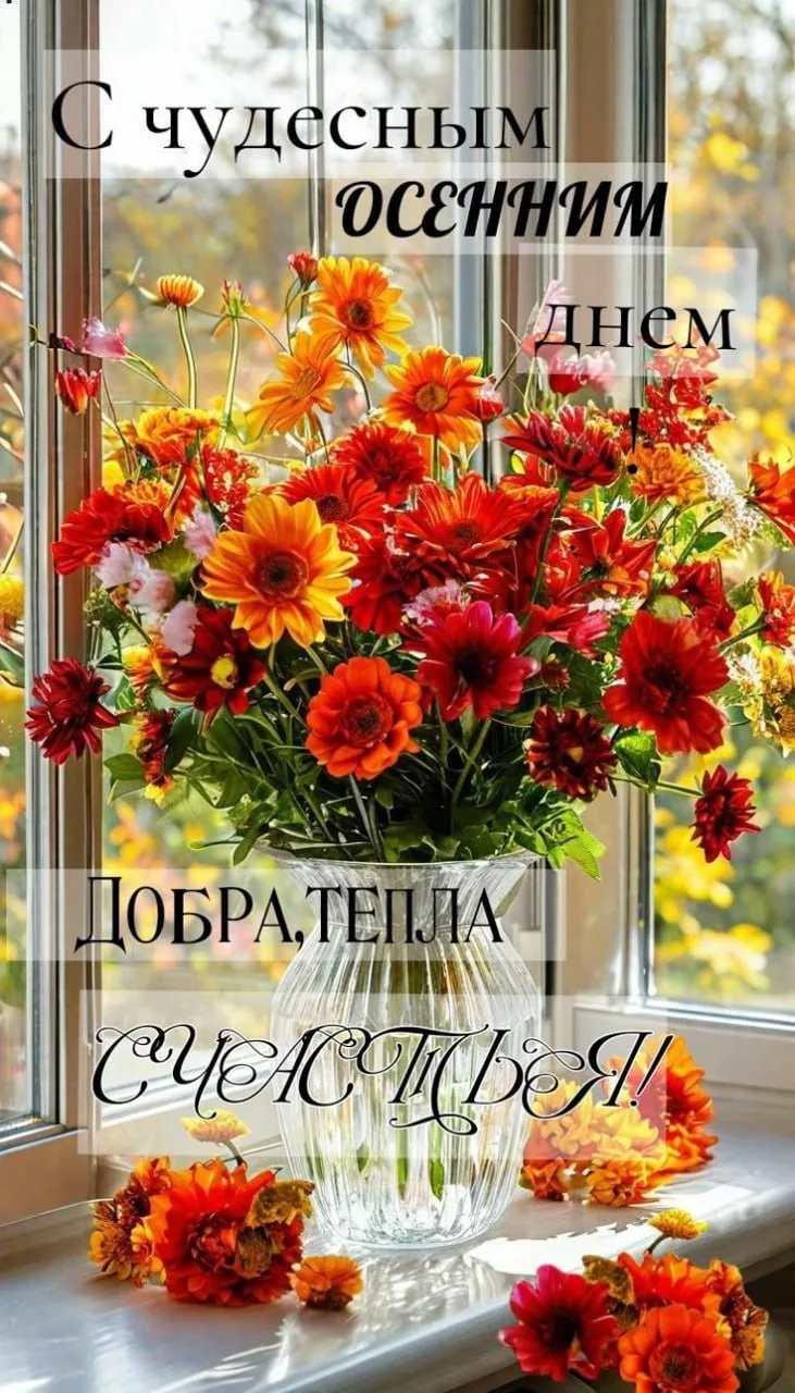 🥰Ставьте реакции и делитесь открыткой с близкими ❤️