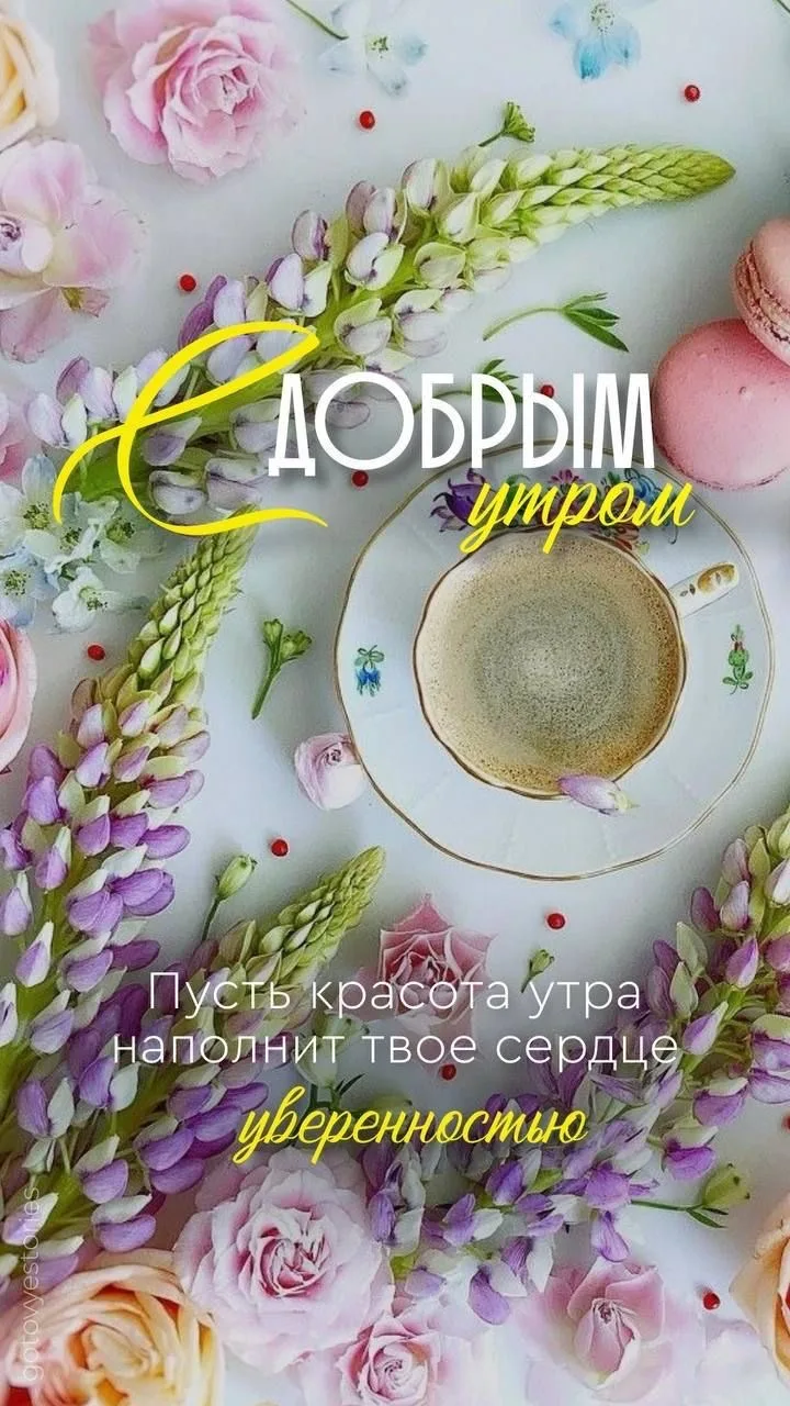 Открытки для улыбки 💌  Подписаться