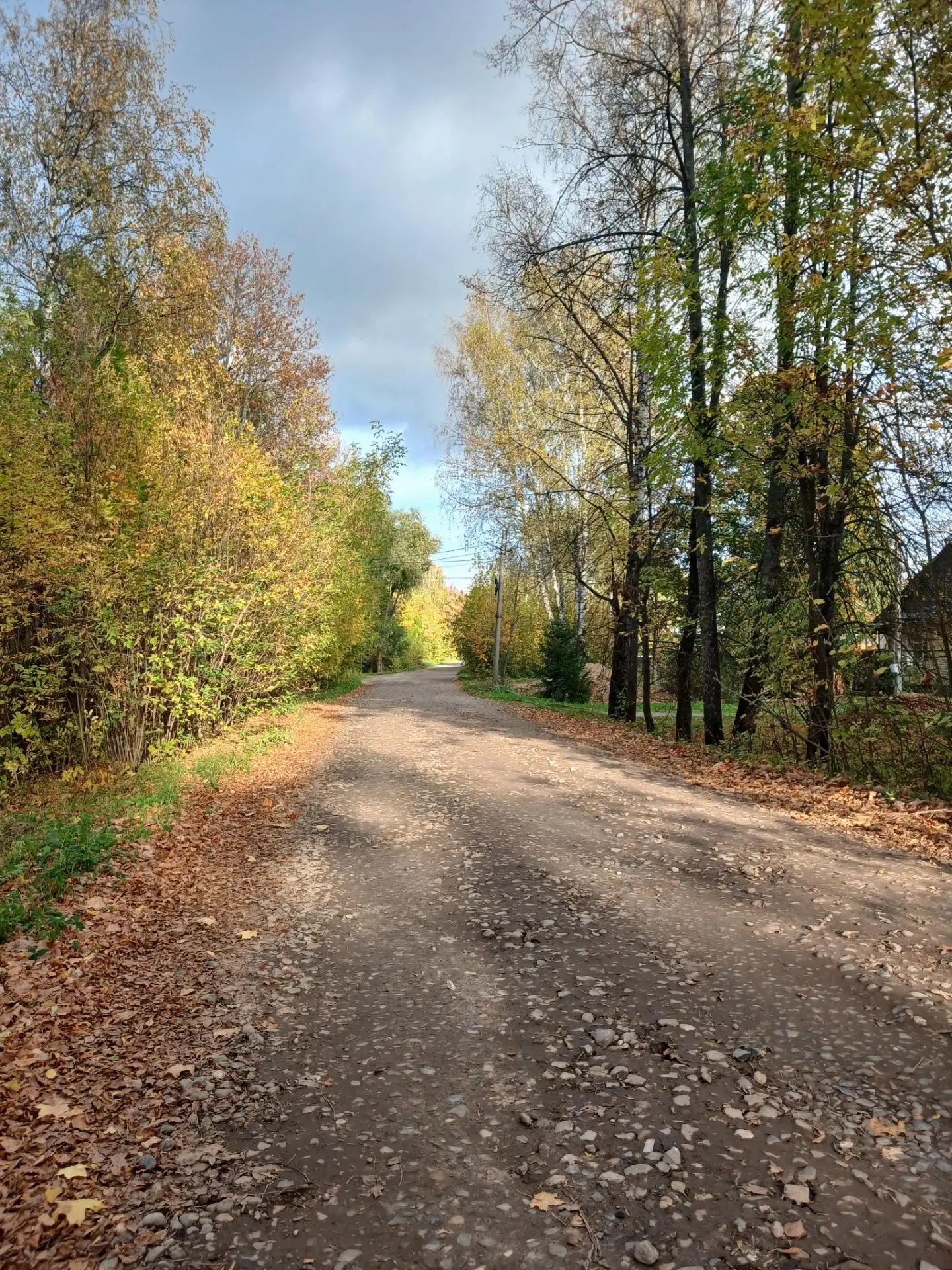Фото с сегодняшней прогулки.