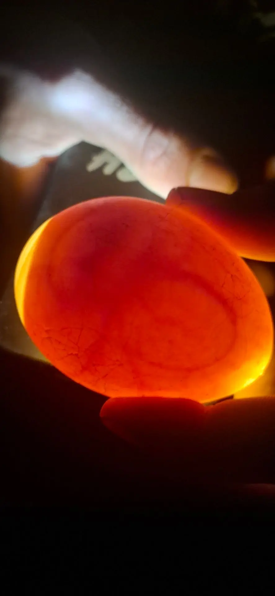 🥚 Овоскопирование: 3 главных правила