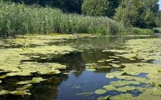 Страх одиночества и желание одиночества: как они влияют на нашу практику