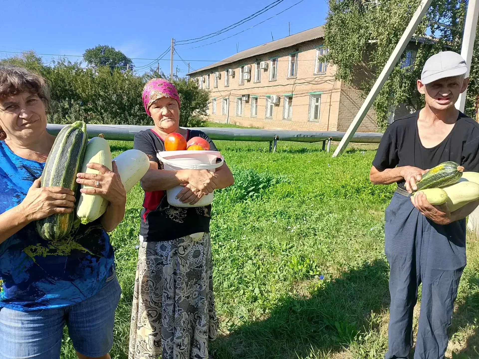 Не вырастишь овощей - не сваришь и щей!