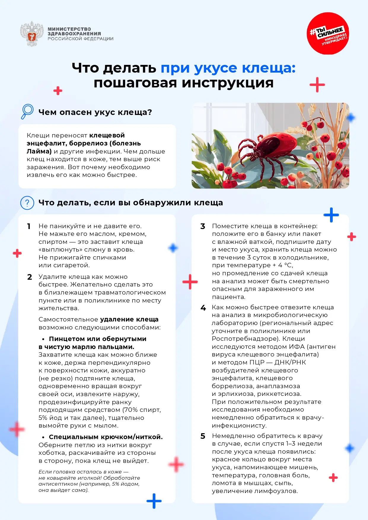 Клещевой боррелиоз (болезнь Лайма) – заболевание, передающееся через укус клеща. Болезн...