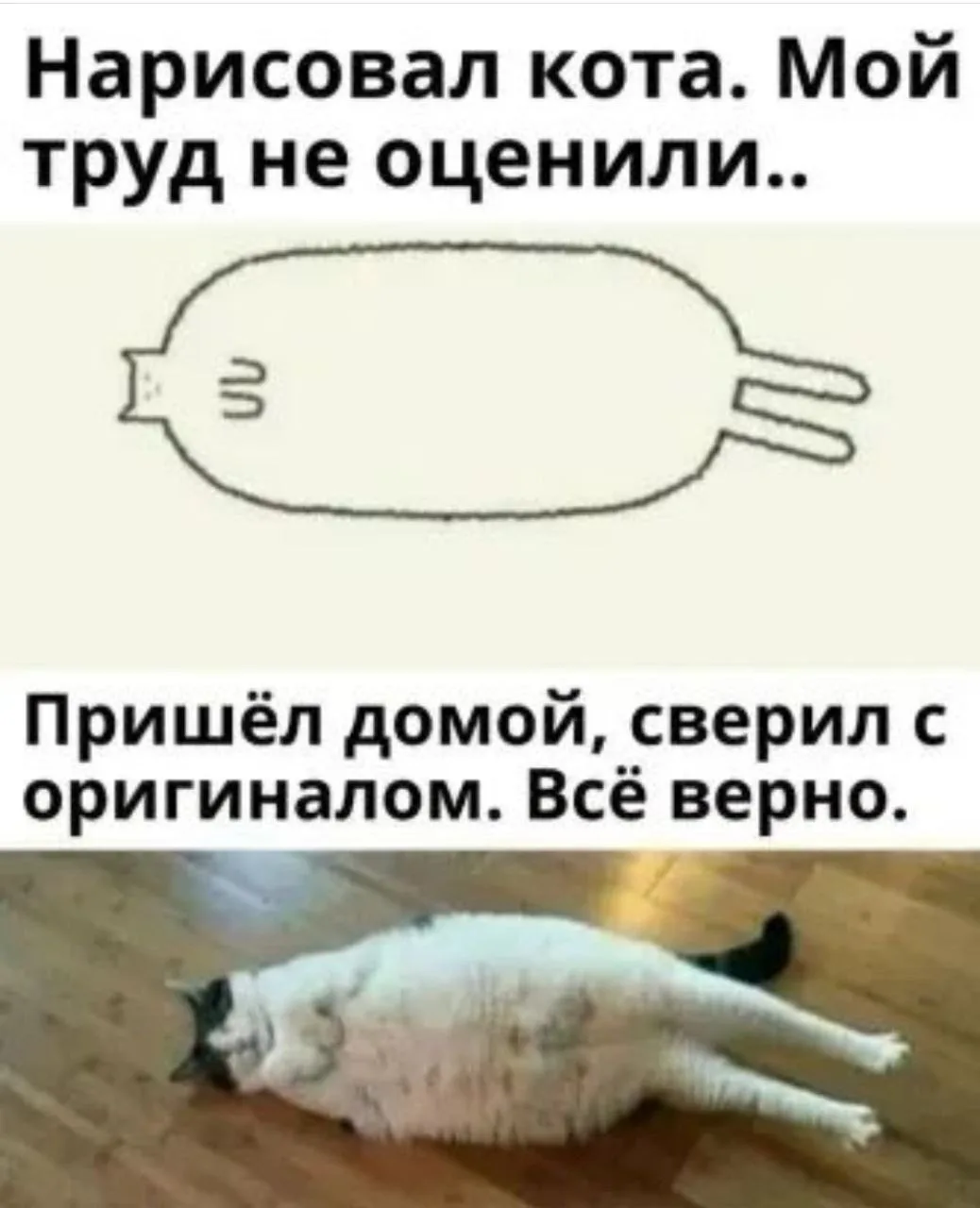 Женский юмор