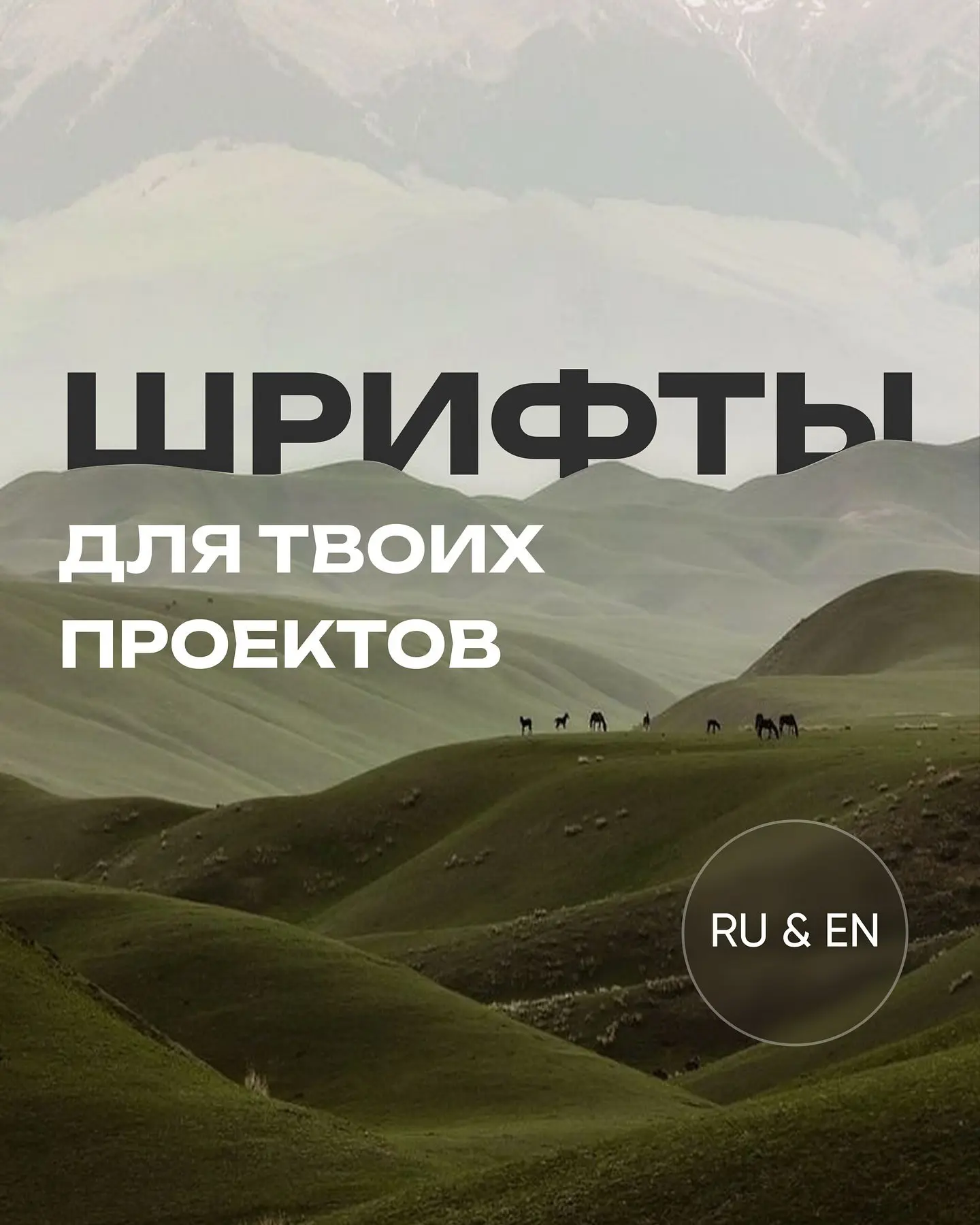 Подборка шрифтов