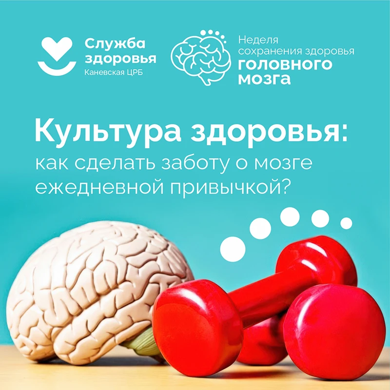 Культура здоровья: как сделать заботу о мозге ежедневной привычкой?