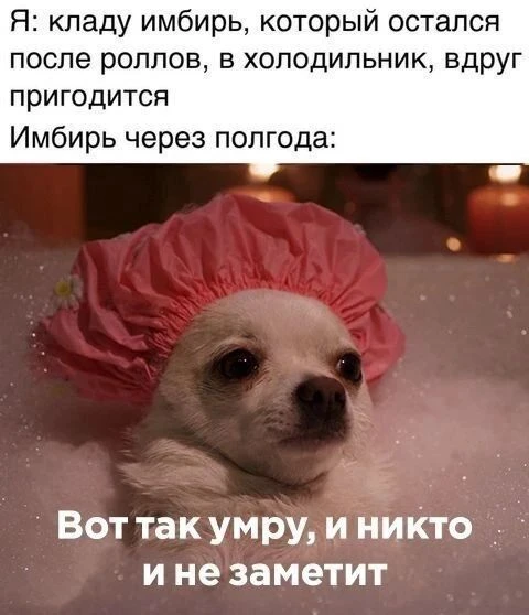 Наш телеграм: https://t.me/votetoprikol90