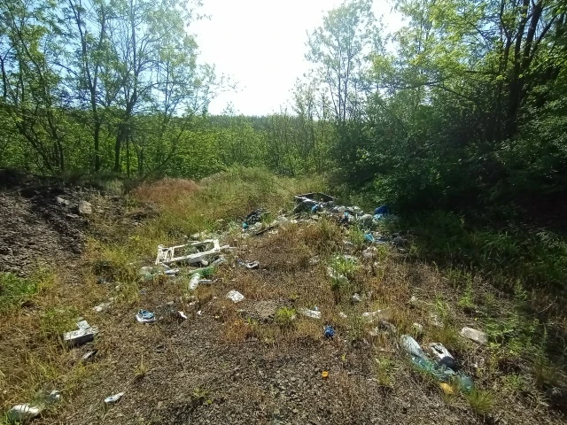 Итак, по прихоти непомерно распалившегося воображения, чуть свет стою в мокрой траве Цокотиловки, пе