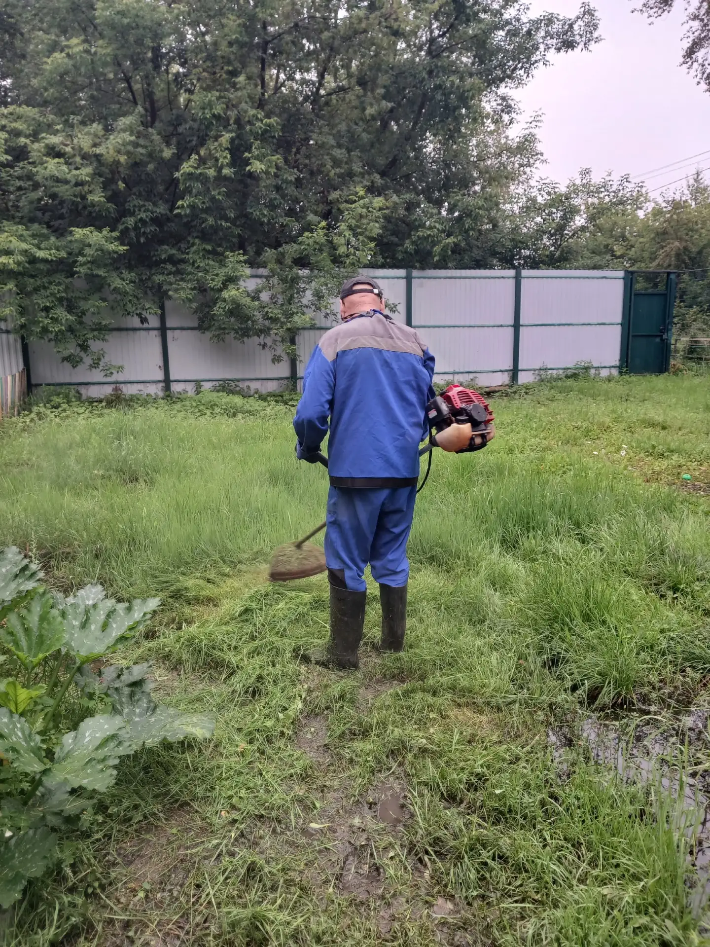 Спасибо за заботу и порядок!

Коллектив детского сада и воспитатель группы «Гномики» Панова С.И. выр