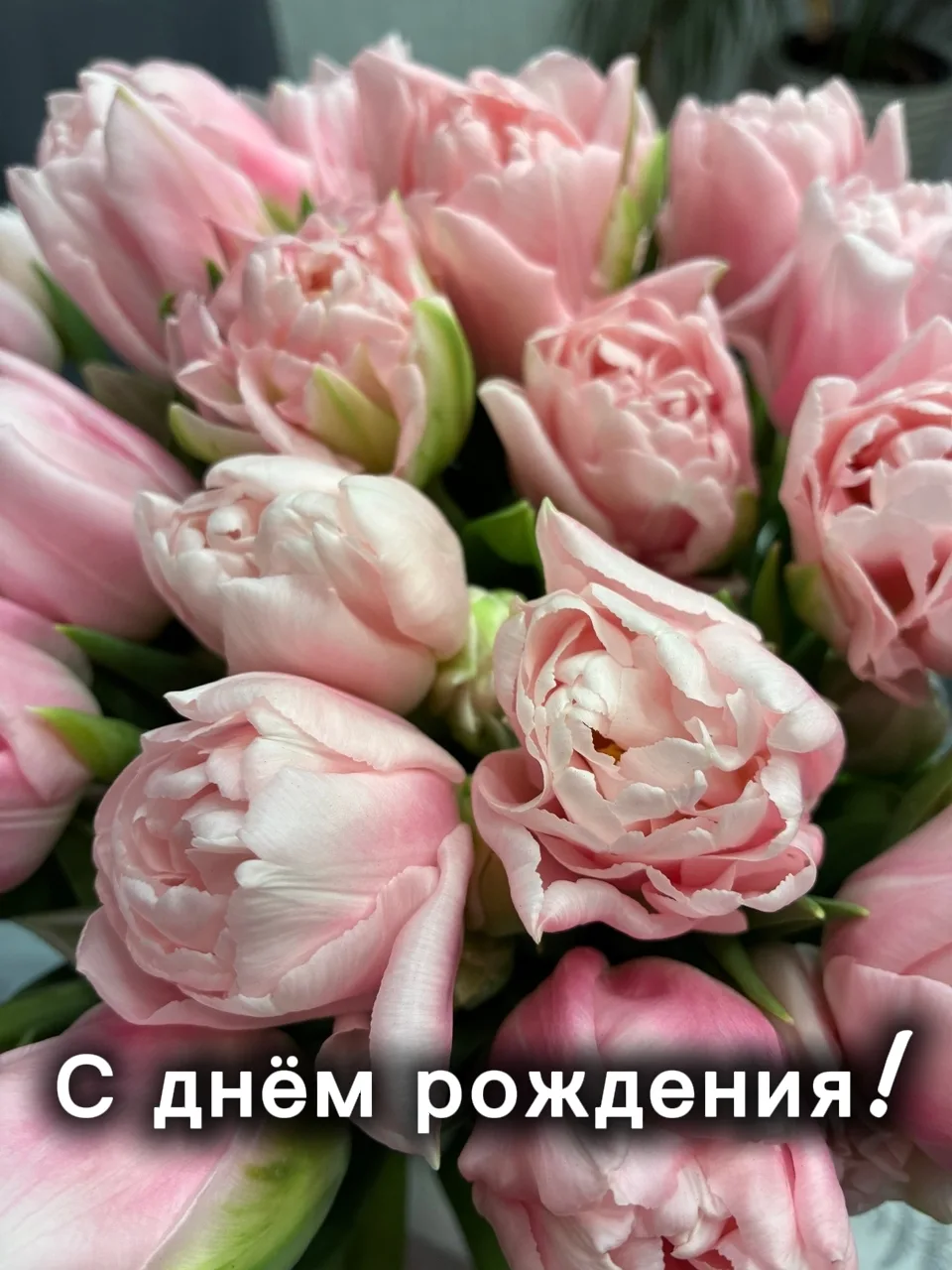 Сегодня отмечает день рождения Наш замечательный администратор - Савельева Екатерина Ев...