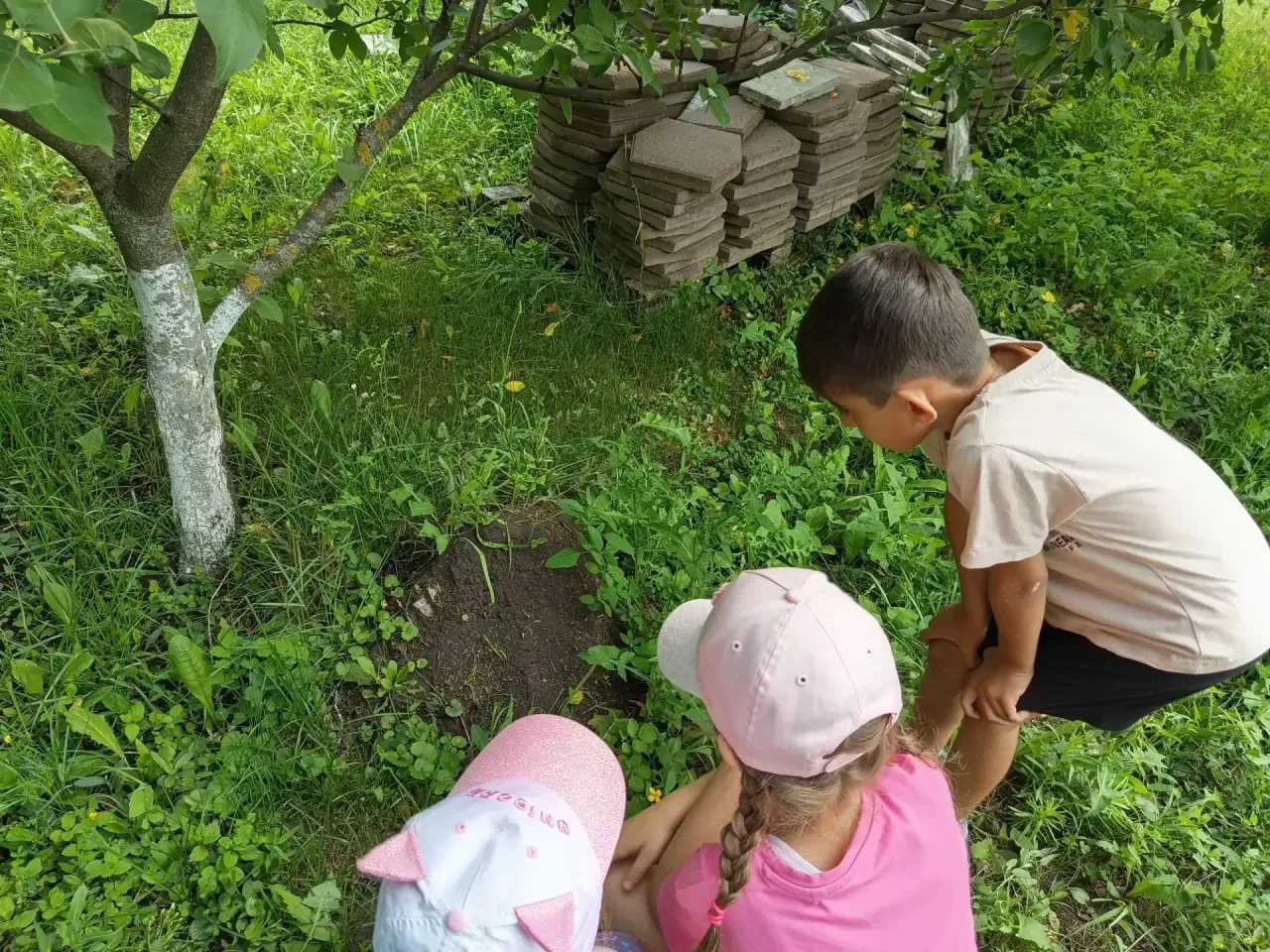 🐜 Маленькие труженики: экскурсия в мир муравьёв!

Пока на дорожках сада ещё лежала утренняя роса, м