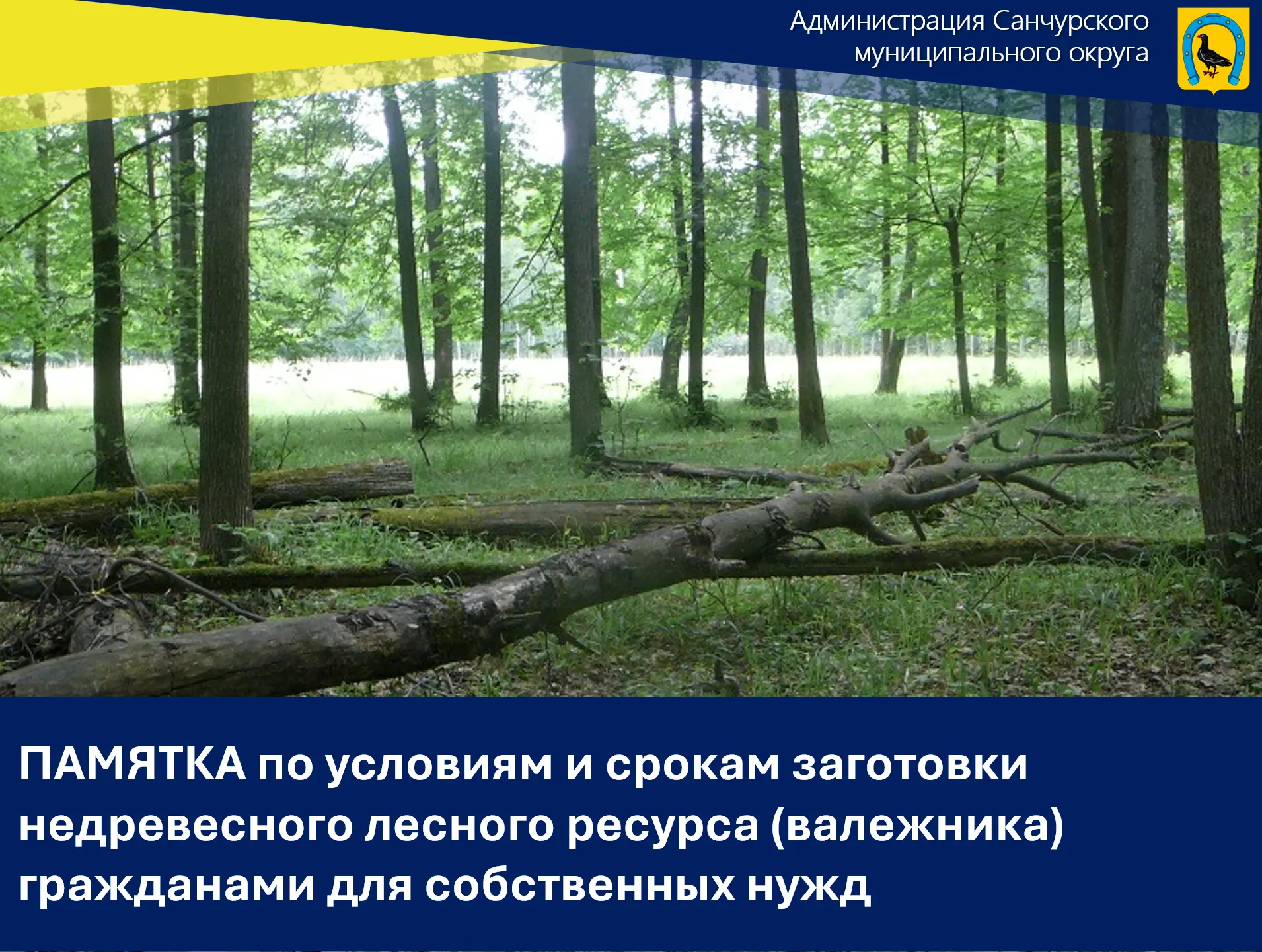 ПАМЯТКА по условиям и срокам заготовки недревесного лесного ресурса (валежника) граждан...