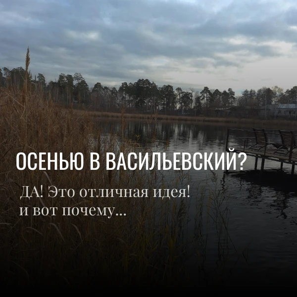 Поездка в «Васильевский» осенью — это не про развлечения до утра, а про глубокое восста...