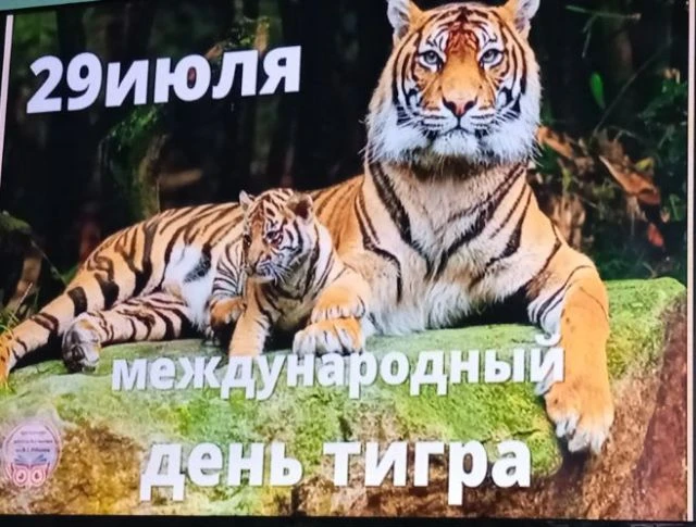 🐯Ежегодно 29 июля во всем мире отмечается Международный день тигра, который был учрежден в 2010 год