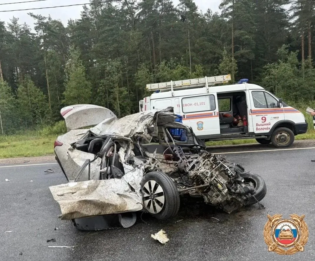 ‼️ На трассе М-10 в Тверской области случилось ДТП с четырьмя жертвами: погибли 35-летн...