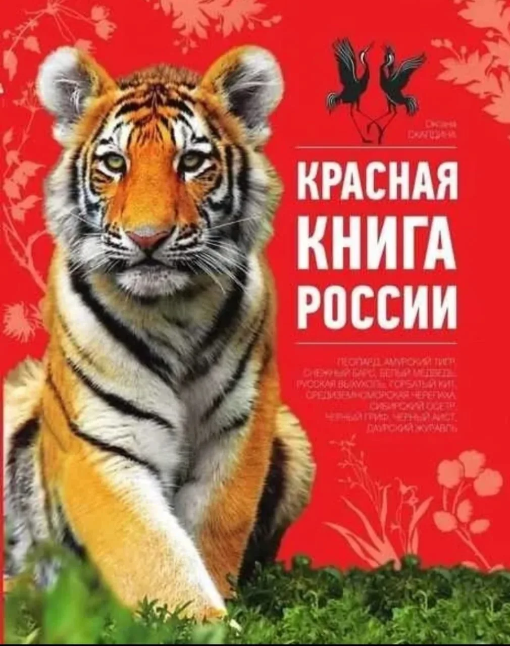 12 января отмечается День Красной книги России-важная дата, напоминающая нам о редких и...