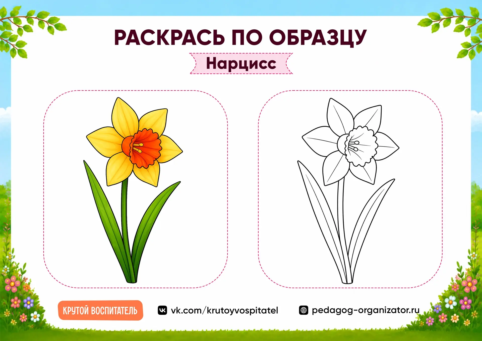 🎨 Раскрась по образцу — создаём цветочную галерею!