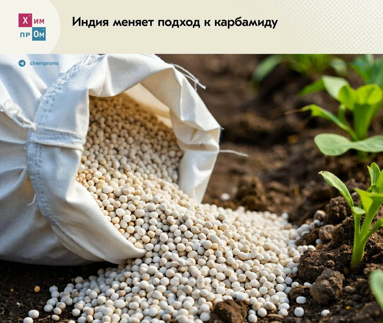 Индия нацелилась на самообеспечение. Страна утвердила новую инвестиционную политику в секторе произв