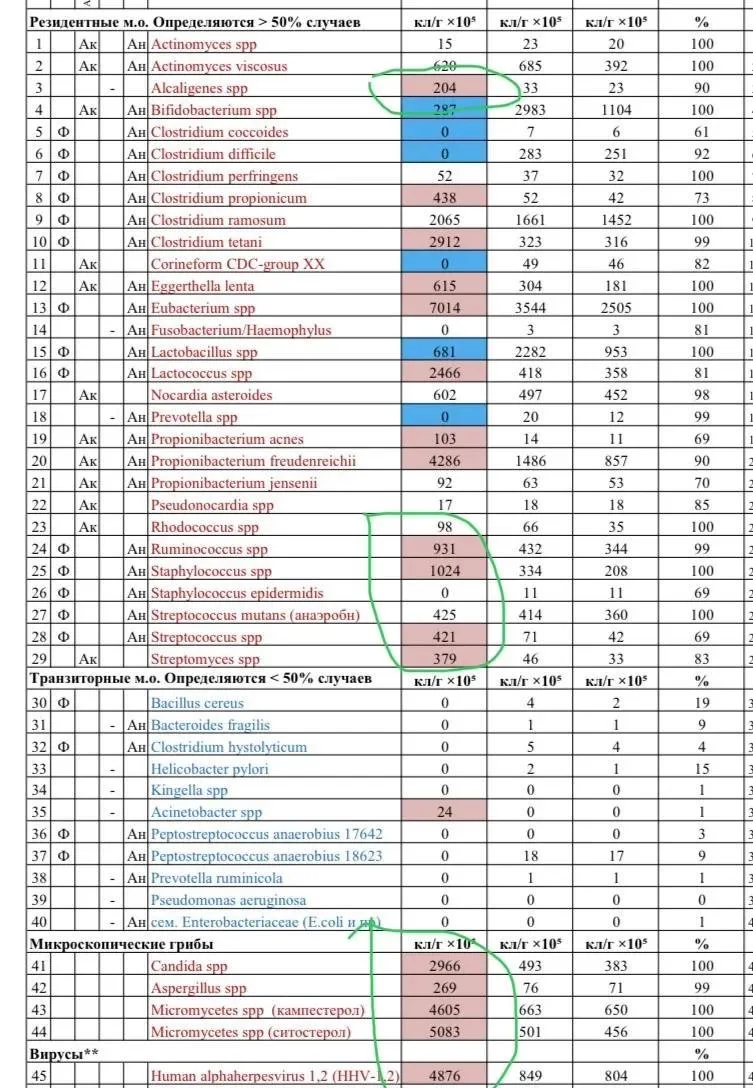 АНАЛИЗ ХМС по Осипову - научный анализ на микробиоту кишечника

🔰С него я начинаю работу с детьми н