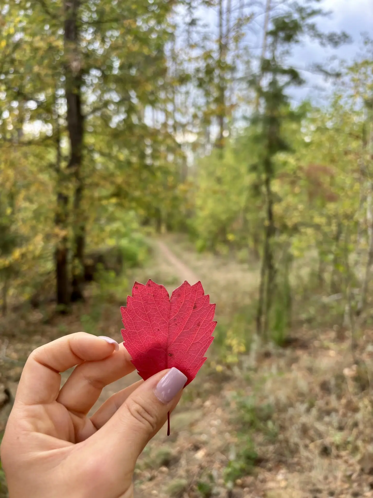 Сегодняшняя пробежка уже с осенним настроением. 🍂