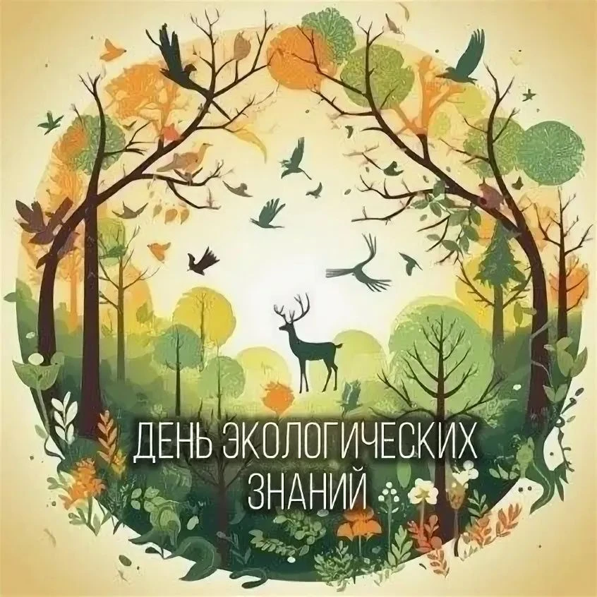 23 июня, в День экологических знаний, воспитанники летнего лагеря «Улыбка» на базе МОУ СОШ № 2 погру