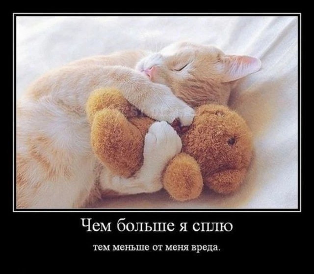 Спешим приносить пользу!