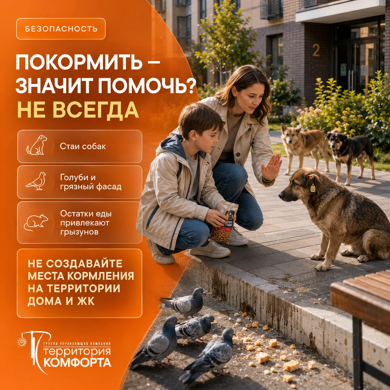 🐕 Покормить — значит помочь? Не всегда