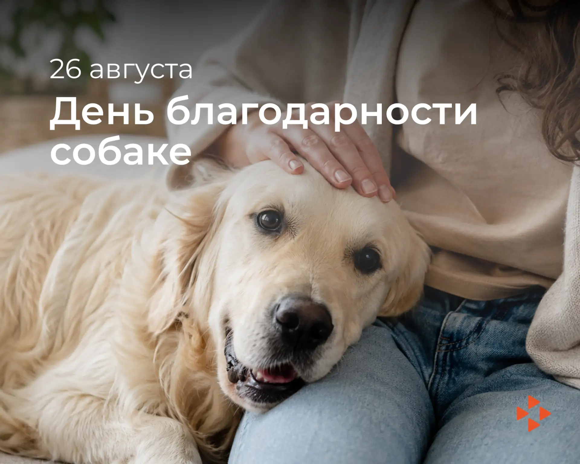 🐕 Спасибо тем, кто всегда рядом