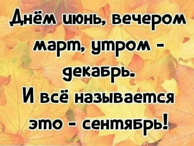 #юмор