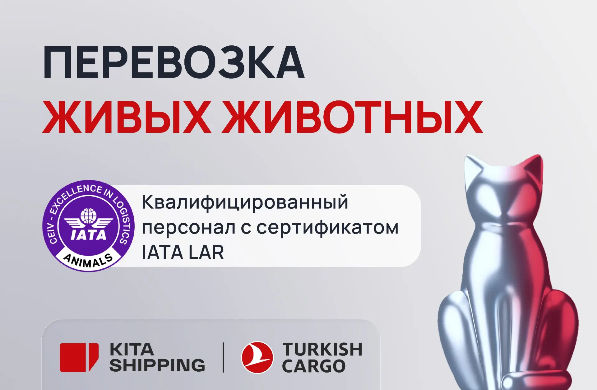 🐾 Перевозка живых животных — одно из самых деликатных направлений в авиалогистике

Нужно продумать 