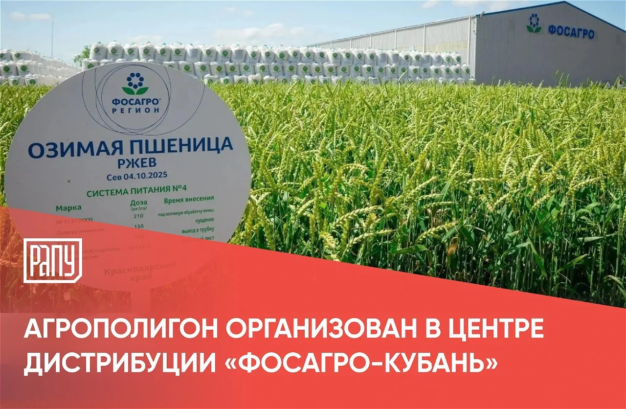В этом году в центре дистрибуции «ФосАгро-Кубань» в Выселковском районе впервые организован агрополи