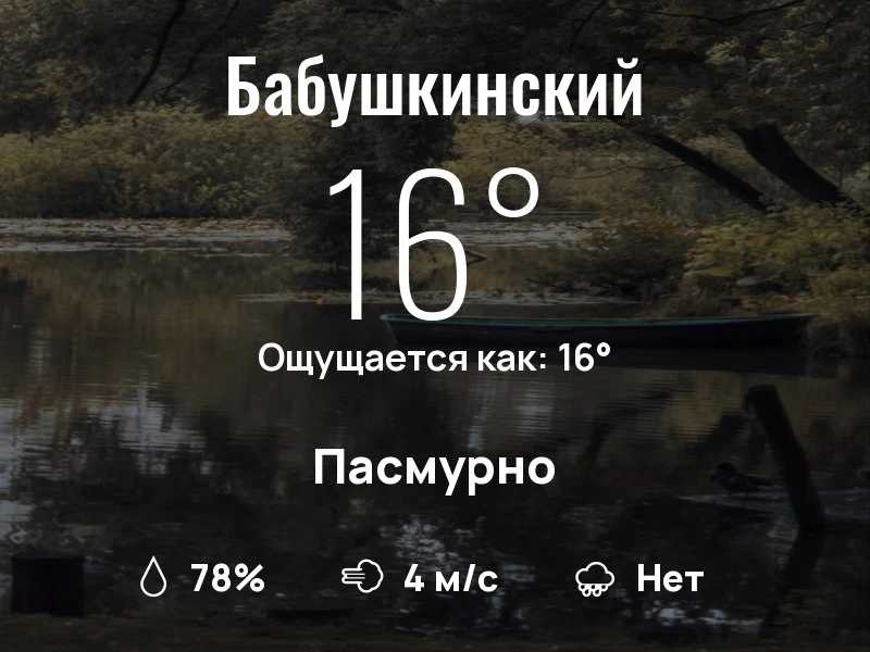 Что с погодой в Бабушкинском?