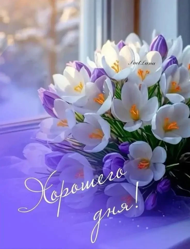 🥰 Ставьте реакции и делитесь открыткой с близкими ❤️
🌺 КРАСИВЫЕ ОТКРЫТКИ 🌺 👉 Подписаться