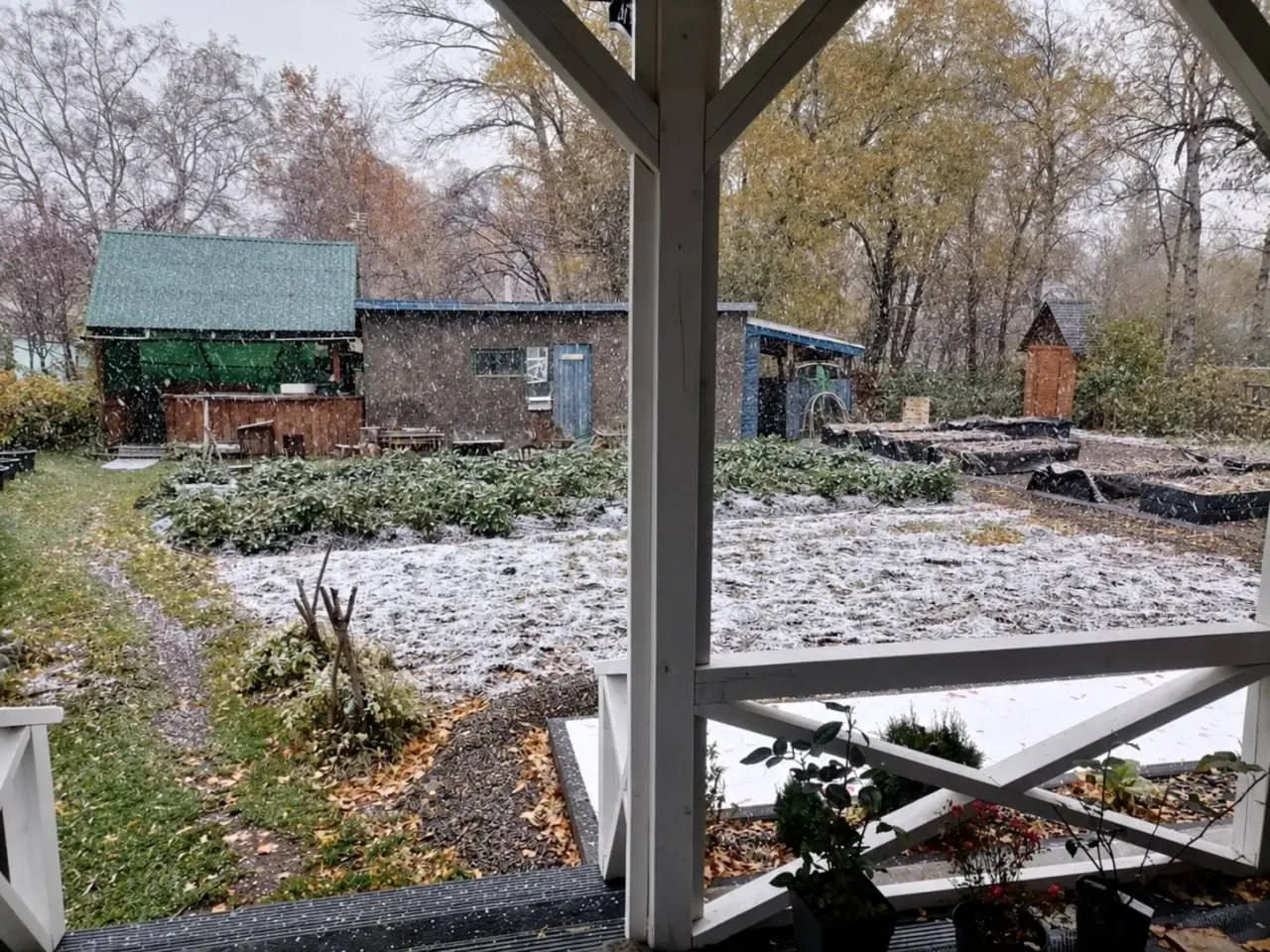 Первый снег