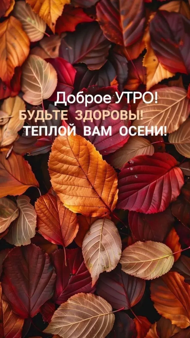 Доброе утро, мои хорошие! 🤗 Просто хочу пожелать вам хорошего настроения и легкого дня...